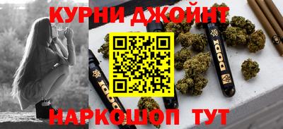 МДПВ Сланцы